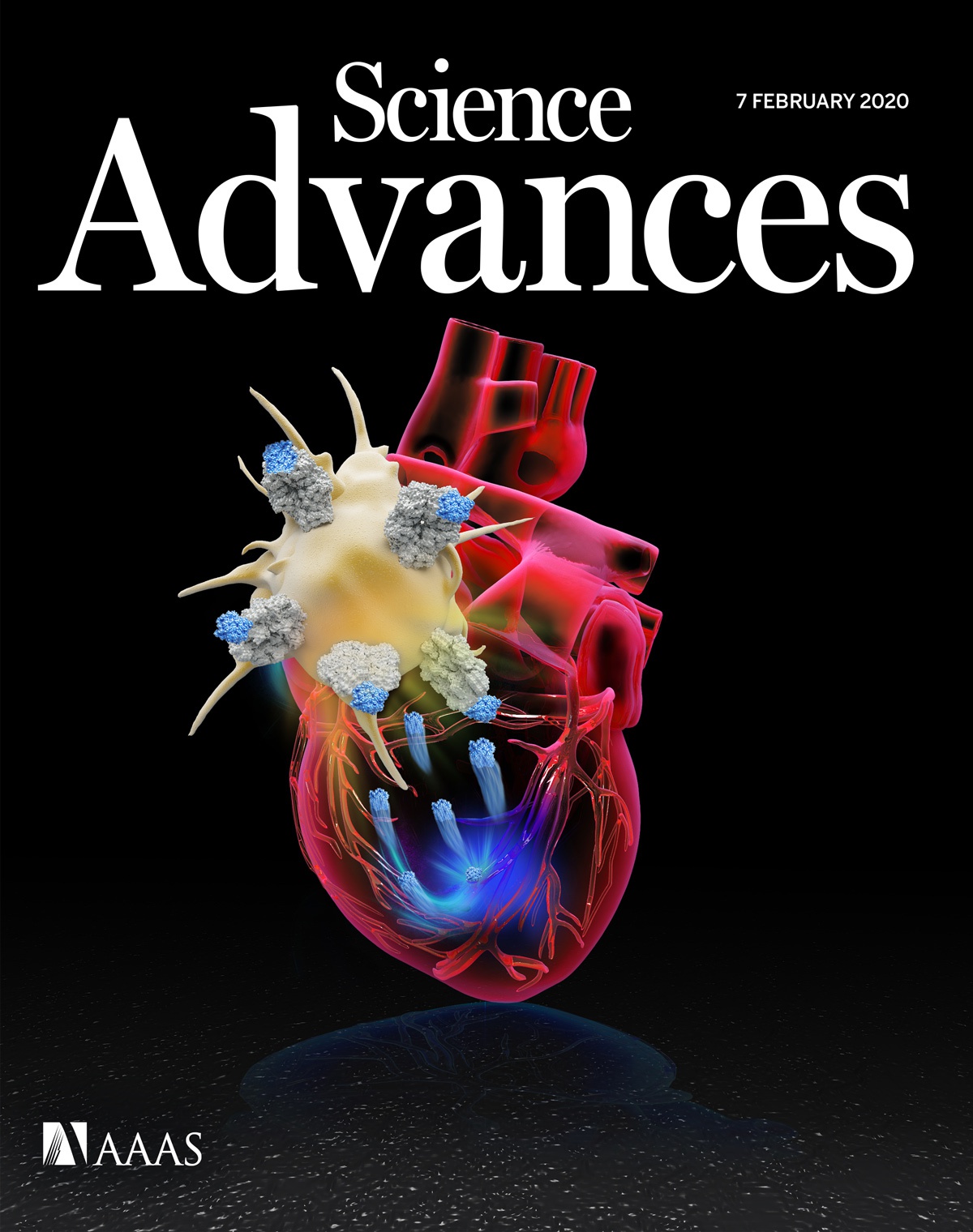 Science Advances Journal Cover Design Service