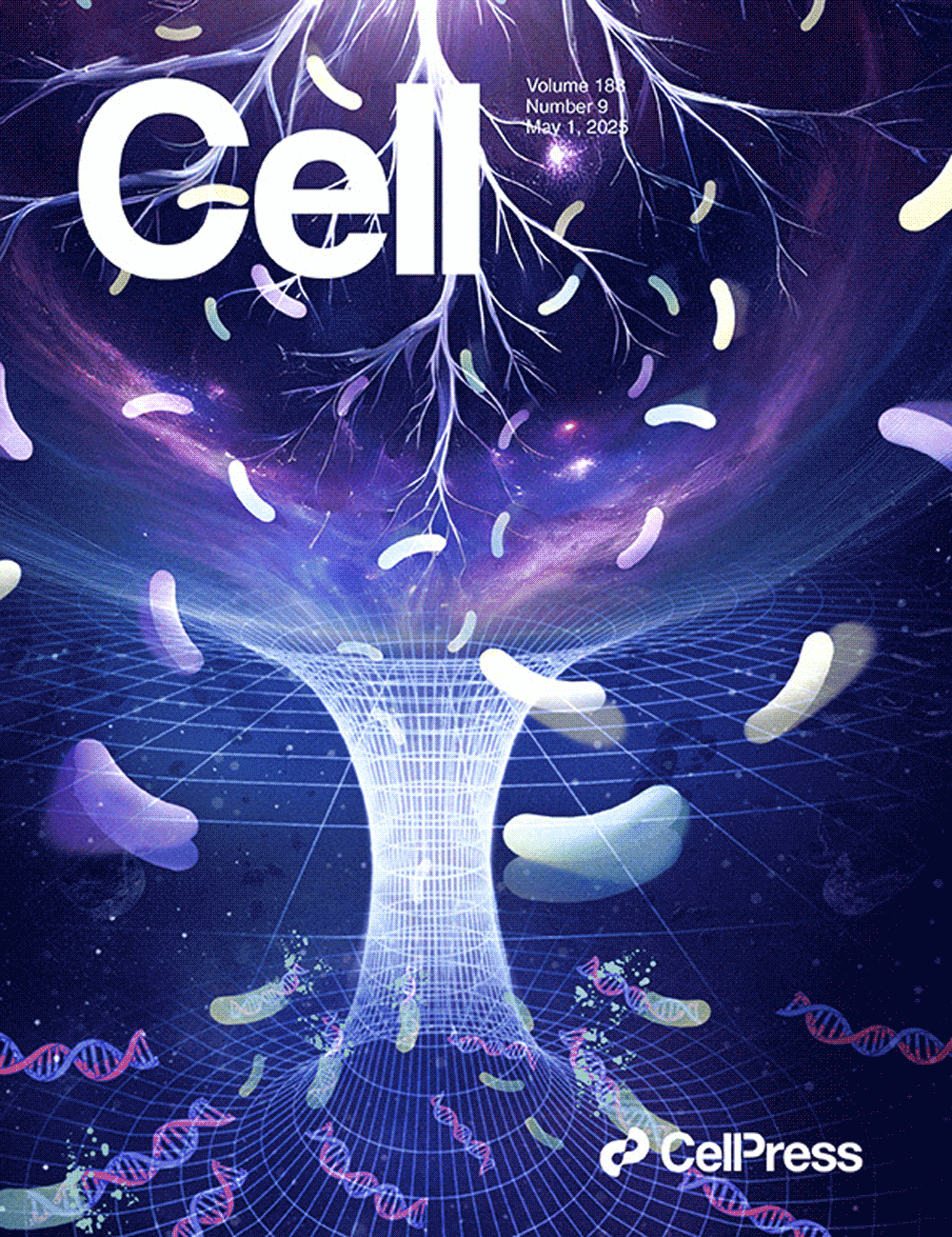 『Sondiiのデザインした表紙がCellに掲載されました』作物根圏微生物の秘密を解き明かす：2つの主要遺伝子ライブラリーCRBCとCRVCの紹介!!