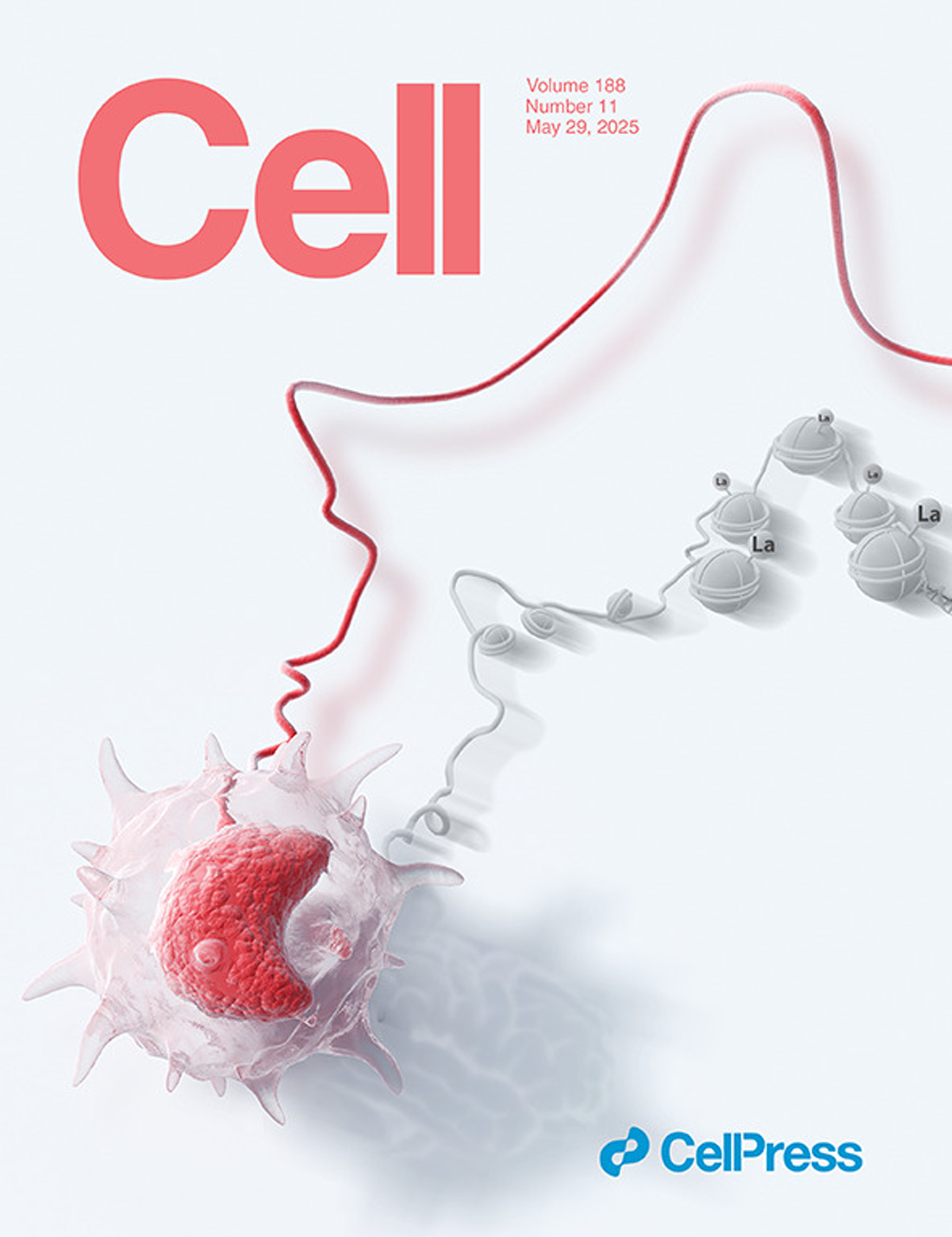 『Sondiiのデザインした表紙がCellに掲載されました』BCGワクチン育成免疫の“分子コード”を解読！