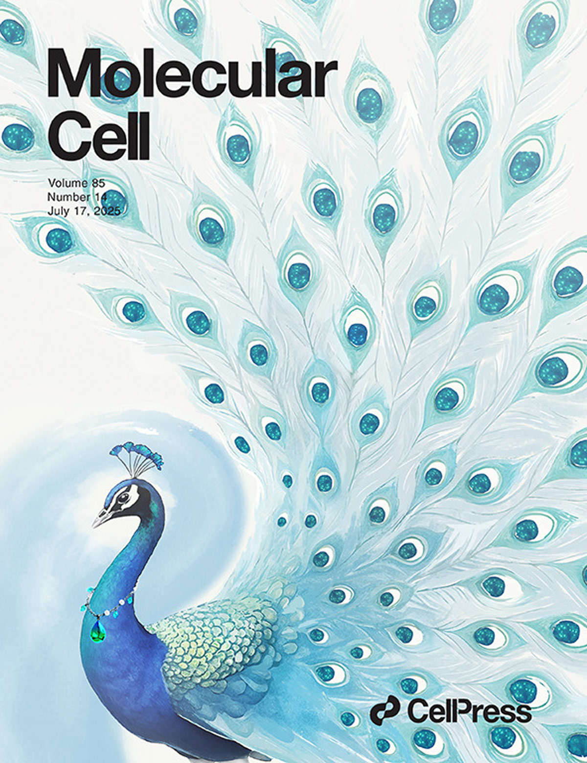 『Molecular Cellに表紙デザインが掲載されました』YTHDC1の乳酸修飾が腎臓がん治療の新たなターゲットを切り開く！